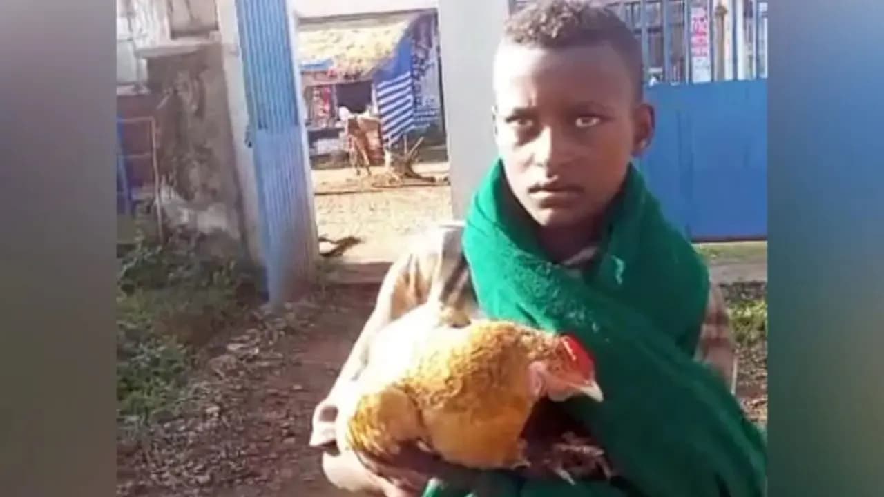 ethiopian kid trying to treat sick chicken wins heart