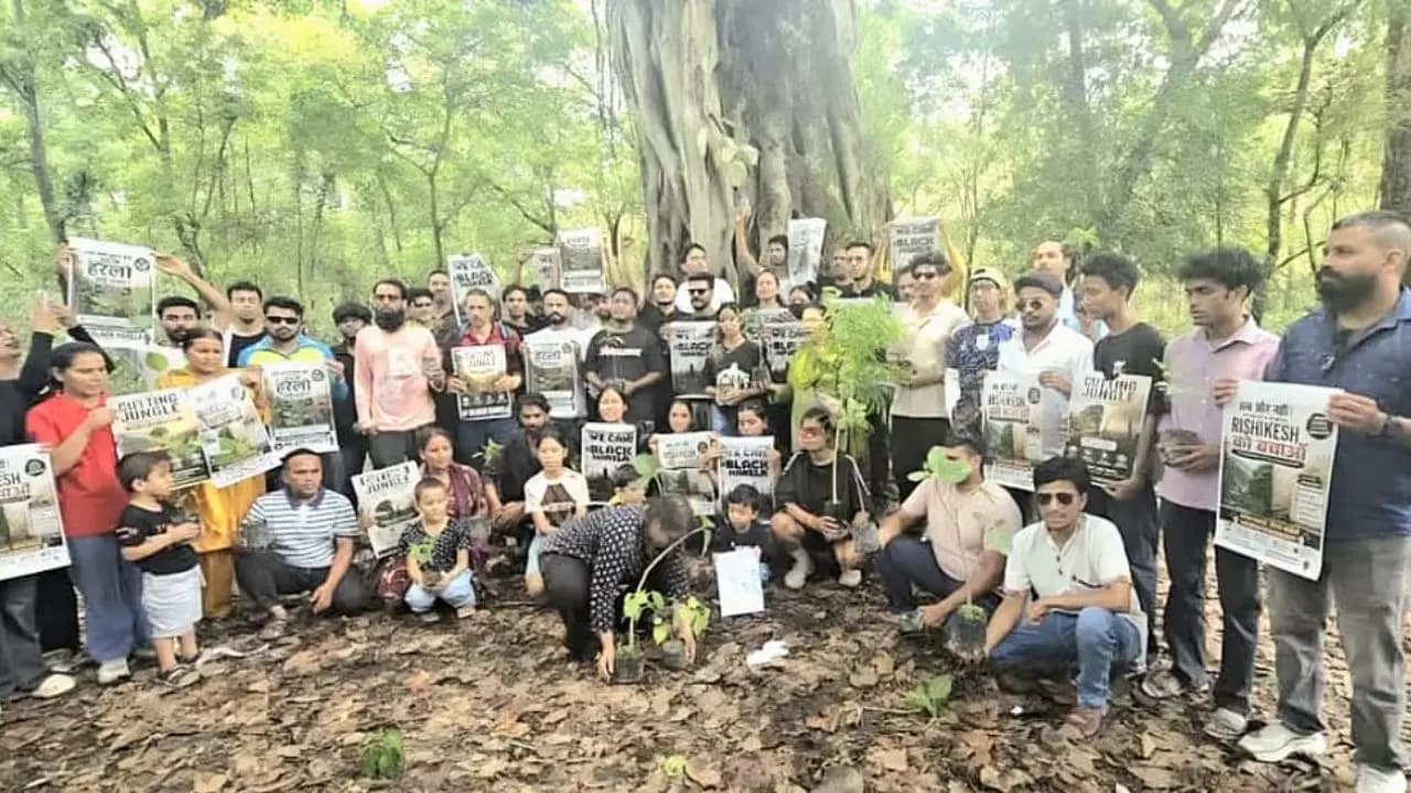 Uttarakhand Tree Felling: Uttarakhand CM Dhami Stops Cutting Down 3000 Trees for Highway Project After Public Protest