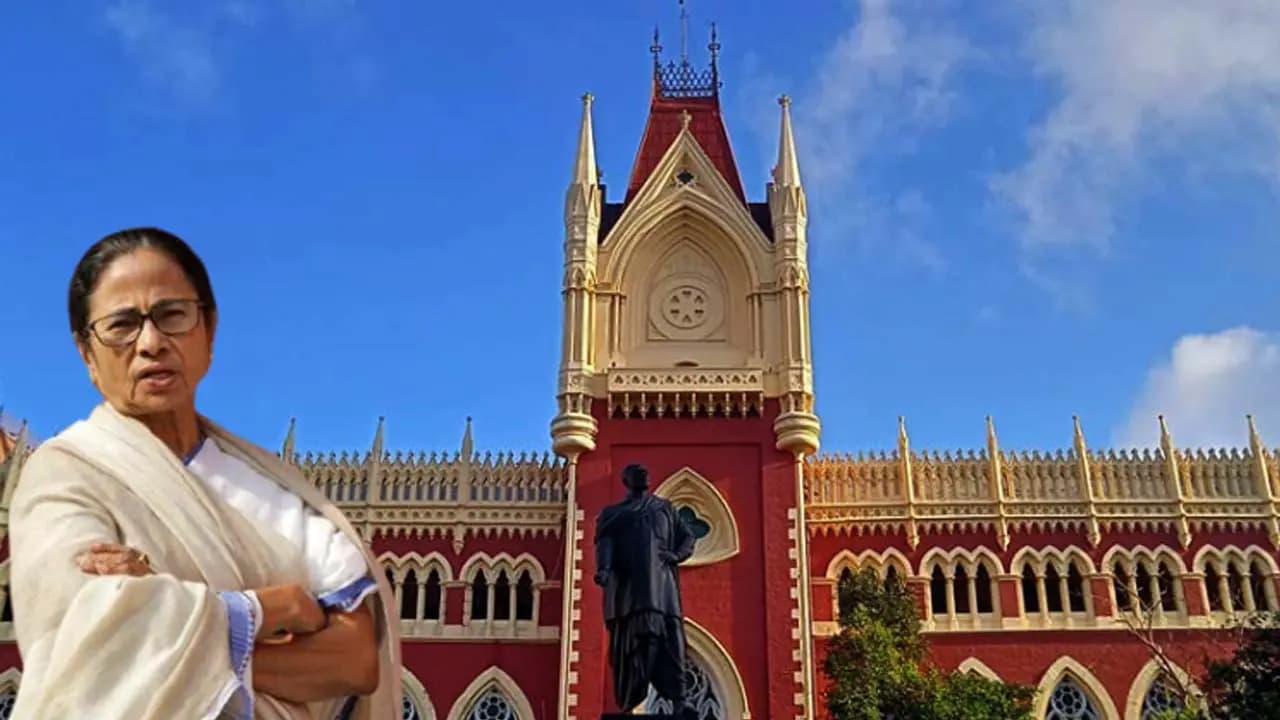 Calcutta High Court TMC Bank Account Frozen