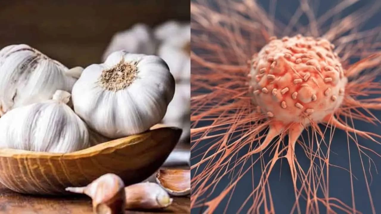 Garlic Health Benefits: Can It Lower Cancer Risk Doctors Explain