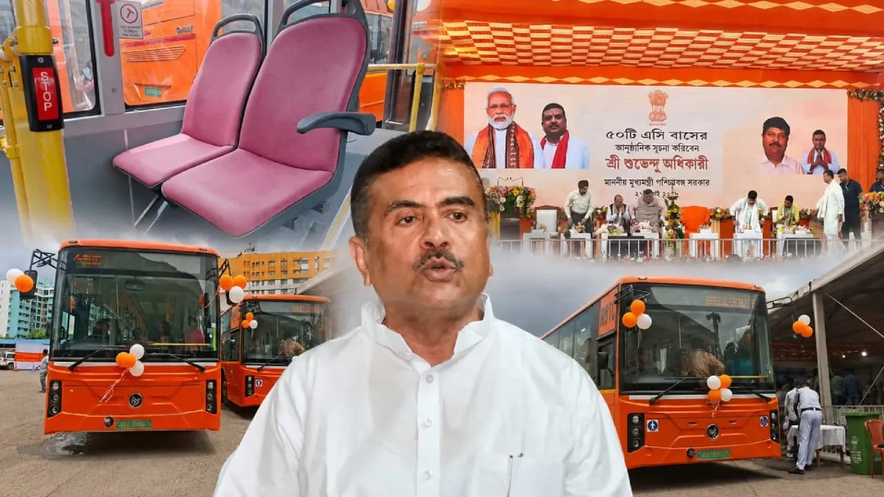 Free Bus Service For Women: Monthly Income Above 50 Thousands Rupees, Will You Get Pink Card For Free Travel in Government Bus?