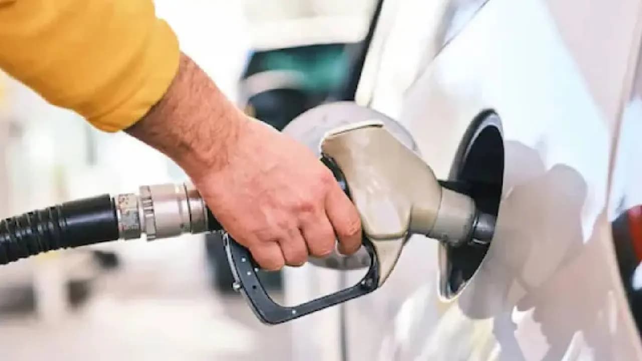 E20 Clean Fuel, No Plan To Return To 'Pure' Petrol: Centre In Parliament