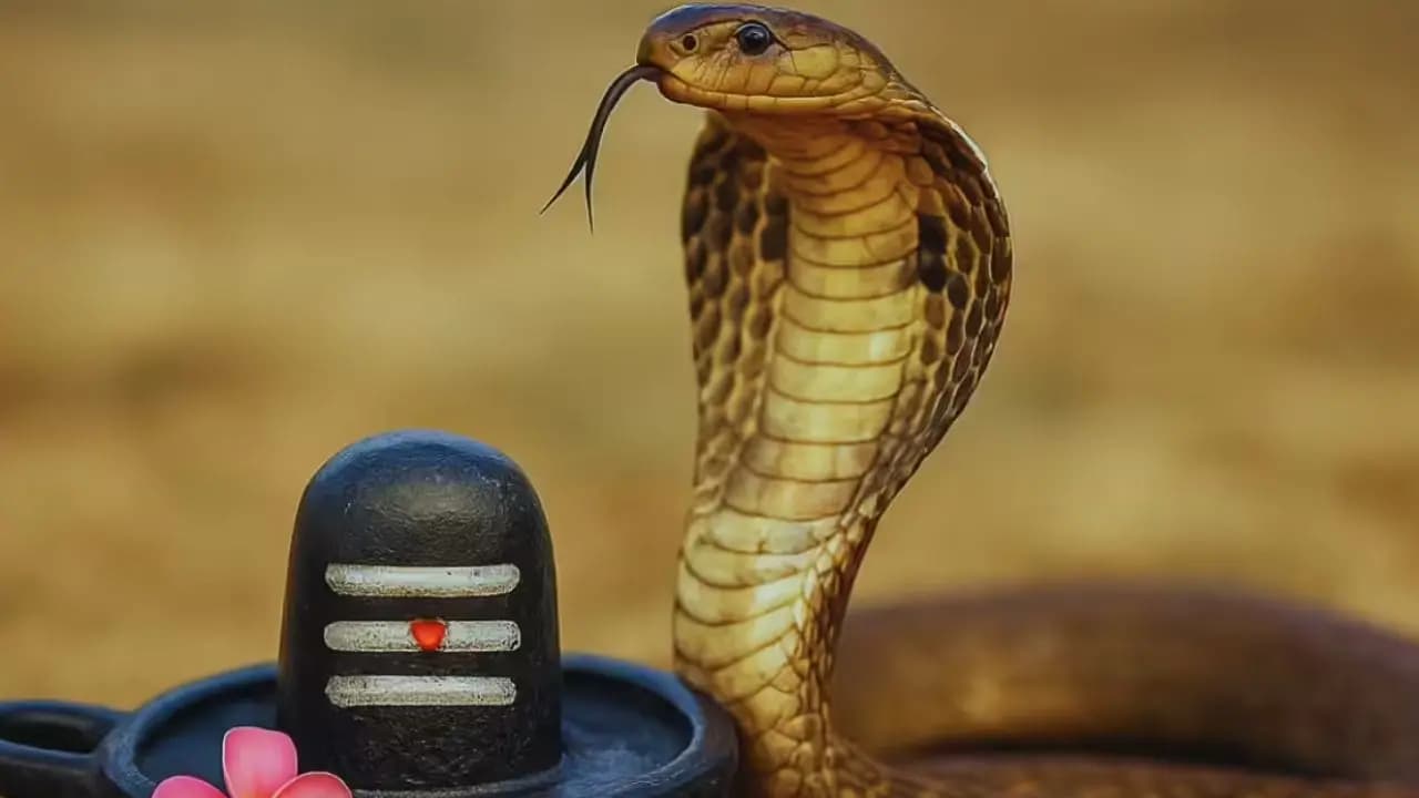 Nagpanchami 2026: sawan somvar and this tithi is on same day, try this remedy to remove sarpa dosham