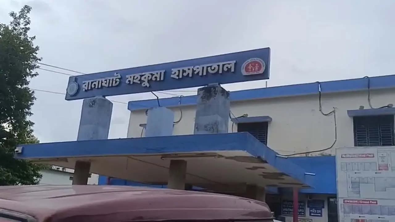 Four youths killed in road accident in Ranaghat