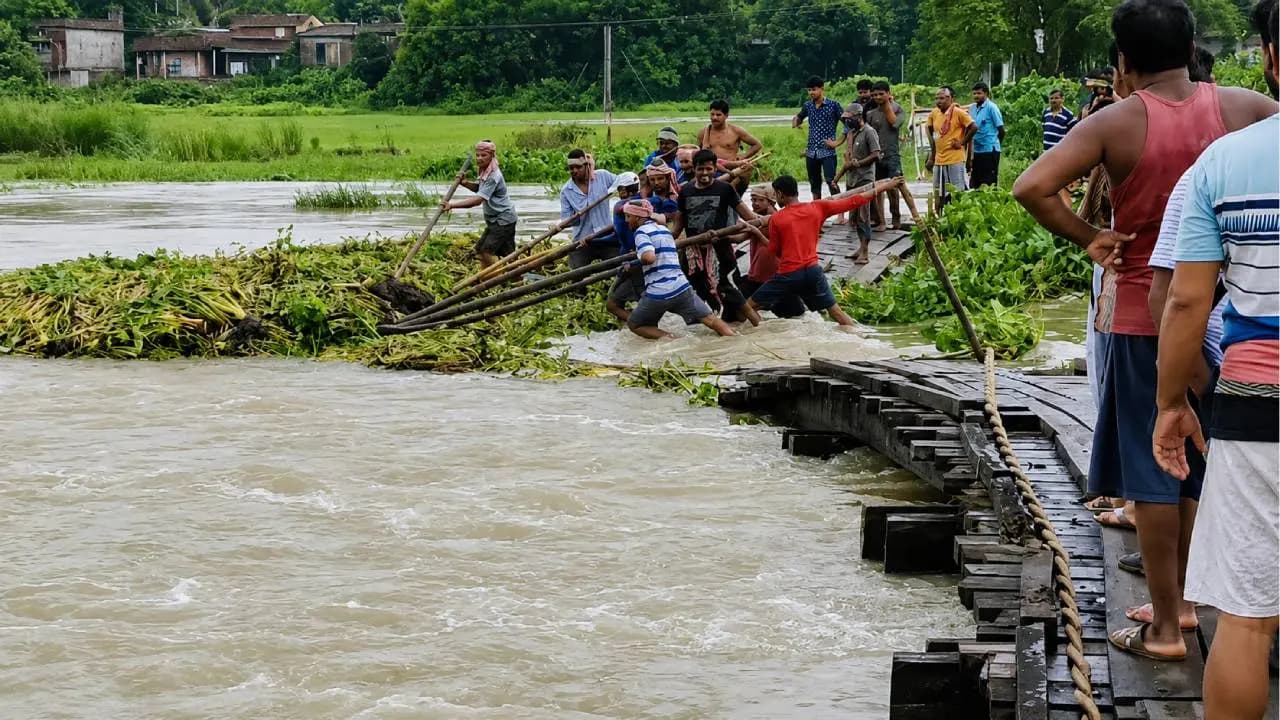 Keleghai River in Spate: Key Langalkata Bridge Collapses Under Massive Water Hyacinth Pressure