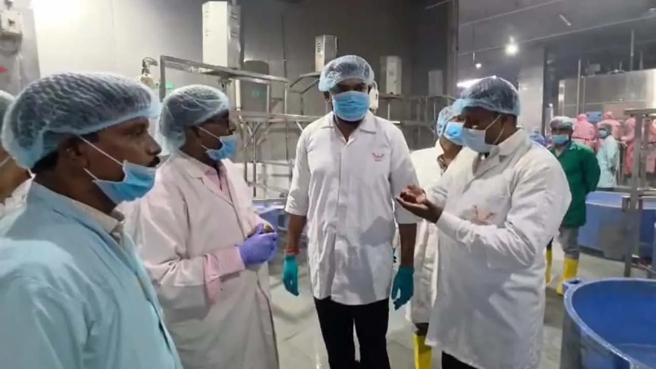 Digha: Bengal Environment state Minister Manoj Oraon inspects Dighas shrimp processing centers and pollution control measures waste treatment systems reviewed