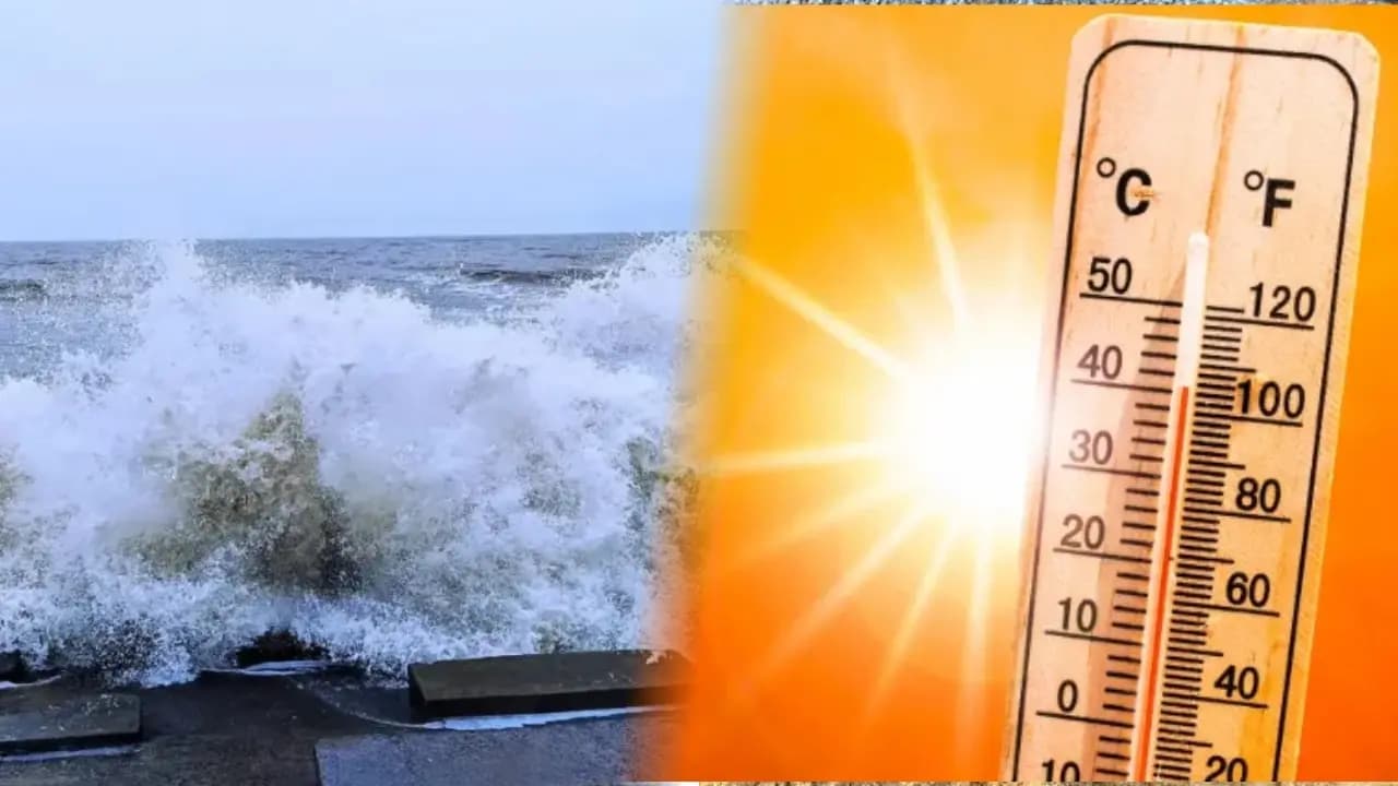 climate change big update: Meteorologist reveals what will happened for west bengal over the next few years