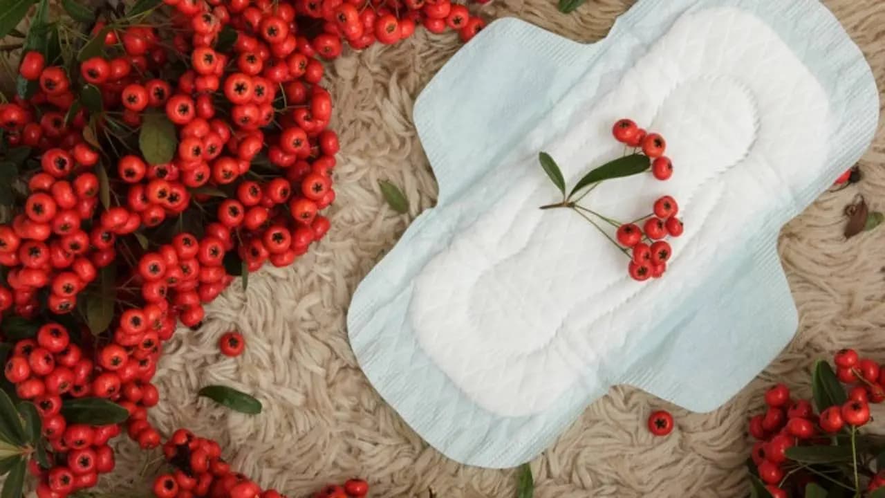 South India Puberty Ceremony: First Period Rituals Celebrate Tradition