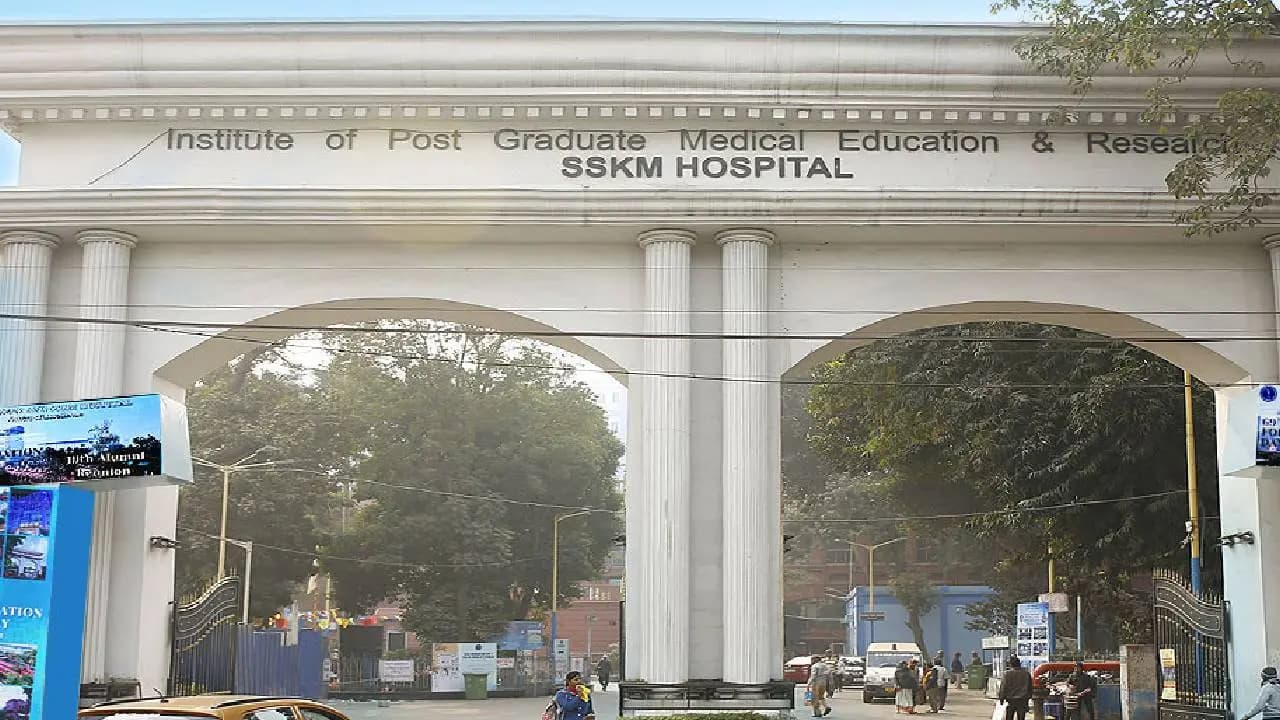 Snakebite Inside School: Seven-Year-Old Child Hospitalised at SSKM After Russell Viper Bite