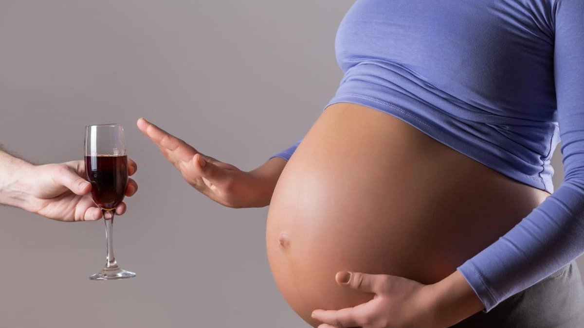 Pregnancy precaution: Alcohol during pregnancy changes a baby s brain ...